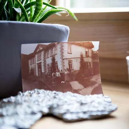Orgelbauerhaus Schulze Apartment *