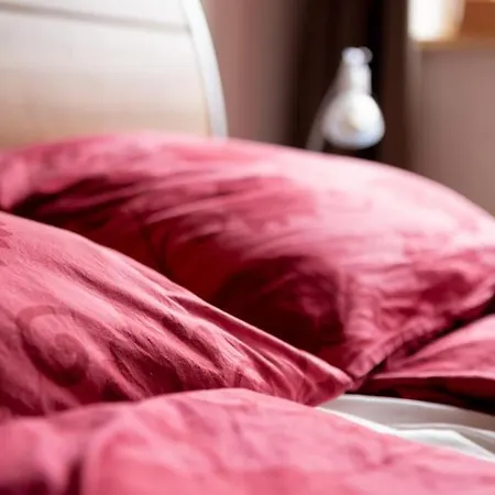 Orgelbauerhaus Schulze Appartement *