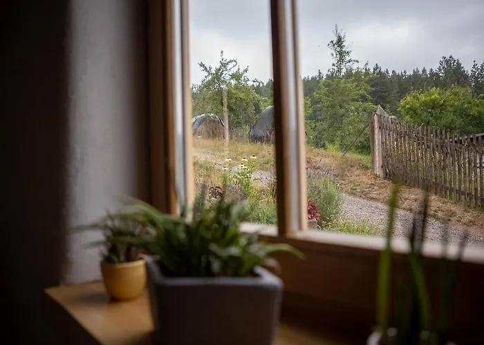 Orgelbauerhaus Schulze Daire